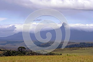 Tepuy draped in Clouds, La Gran Sabana, Venezuela