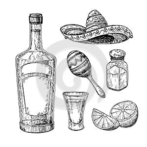 Tequila bottle, salt shaker and shot glass with lime. Mexican alcohol drink vector drawing.