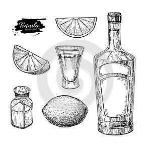 Tequila bottle, salt shaker and shot glass with lime. Mexican alcohol drink vector drawing photo