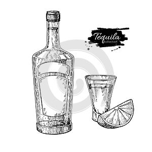Tequila bottle and shot glass with lime. Mexican alcohol drink vector drawing.