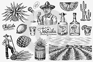 Tequila bottle, shot with lime, blue agave Plant, barrel and root ingredient, farmer and harvest. Engraved hand drawn