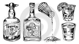 Tequila bottles and salt shaker. Glass Shots with Alcoholic Drink and Lime. Engraved hand drawn vintage sketch. Woodcut