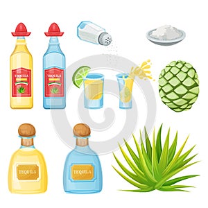 Tequila bottles, shot glass, agave root, vector illustration. Mexican alcohol drinks and cocktails menu design elements