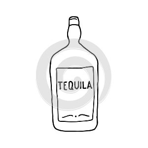 Tequila - mexican traditional alcoholic drink. Hand drawn sketch doodle. Vector transparent illustration for menu, poster, web and
