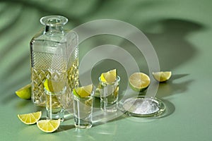 Tequila with salt and lime slices on a green background