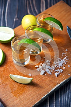 Tequila in Shot Glasses with Lime and Salt