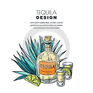 Tequila sketch vector illustration. Bar menu, label, package design. Bottle, shot glass, agave isolated on white