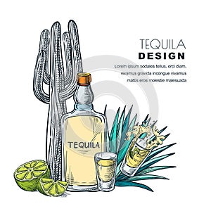 Tequila sketch vector illustration. Bar menu, label or package design photo