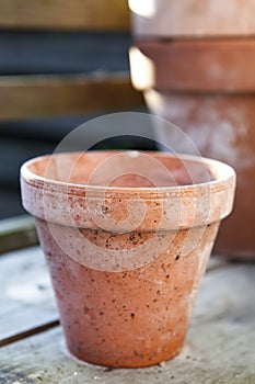 Teracotta Pot
