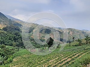 Terasering best view