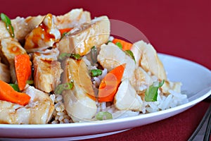 Teriyaki chicken rice