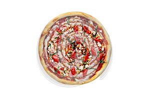 Teriyaki pizza on a white background isolated