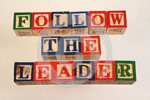 The term follow the leader