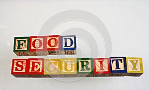 The term food security