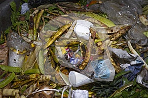 MedellÃÂ­n, Antioquia / Colombia. March 17, 2019. Garbage bin full of organic garbage.