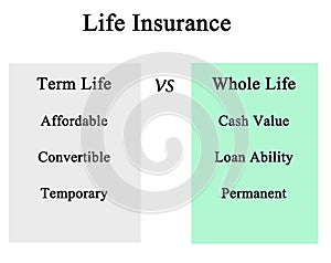 Term life vs whole life