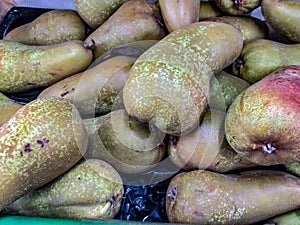 The term pear refers to the fruit photo