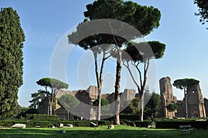 Terme di Caracalla photo