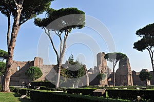 Terme di Caracalla