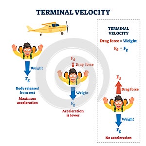 Terminal velocity vector illustration. Labeled falling speed explanation. photo