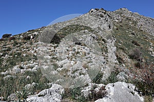 Termini - Escursionisti sul Monte Costanzo
