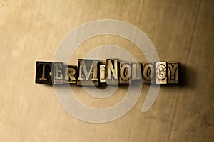 TERMINOLOGY - close-up of grungy vintage typeset word on metal backdrop photo