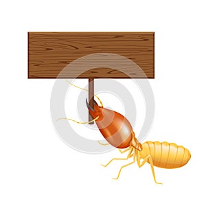 Termite, clip art termites and wooden signs isolated on white background, insect species termite ant eaten wood decay and damaged