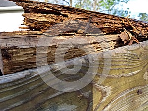 Termite damaged lumber