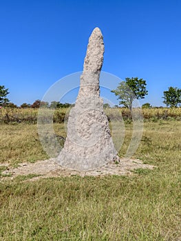 Termite hill