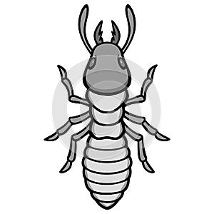 Termite Illustration