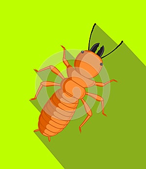 Termite Insect Vector Illustration