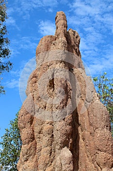 Termite Mound