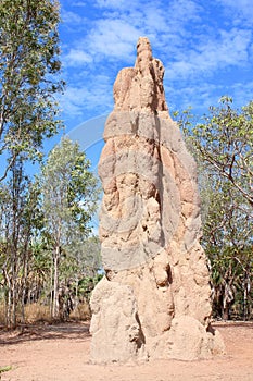 Termite Mound