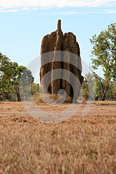 Termite Mound - Kakadu National Park, Australia