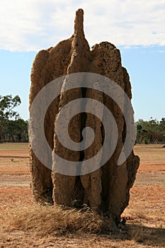 Termite Mound - Kakadu National Park, Australia