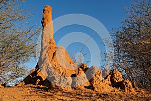 Termite mound