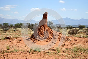 Termite mound, Namibia, Africa