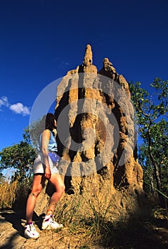 Termite Mound in Northern Australia