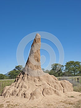 Termite mound or termite hill