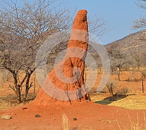 Termite mound in Twyfelfontein Afrikaans: uncertain spring photo