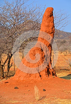 Termite mound in Twyfelfontein Afrikaans: uncertain spring, photo