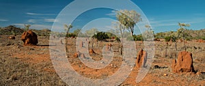 Termite Mounds