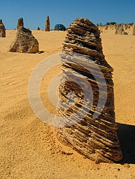 Termite mounds. Australia.