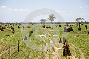 Termite Mounds - Australia