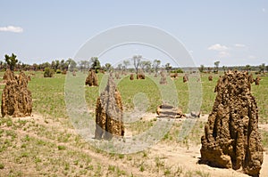 Termite Mounds - Australia photo