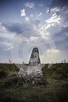 Termite mounds in Pantanal countyside environment, Transpantaneira Route,