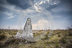 Termite mounds in Pantanal countyside environment,, Transpantaneira Route, Pantanal,