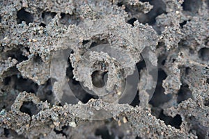 Termite nests in the ground have natural textures and beautiful abstract patterns