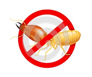 Termite in prohibited red circle sign isolated on white background, logo insects termite, termite prohibition symbol for flat photo