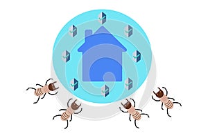 Termite protection. Idea concept for protec the home rom Termite